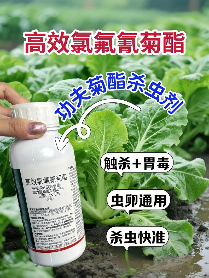 泰州代生中心:农药对供卵代生妈妈的危害